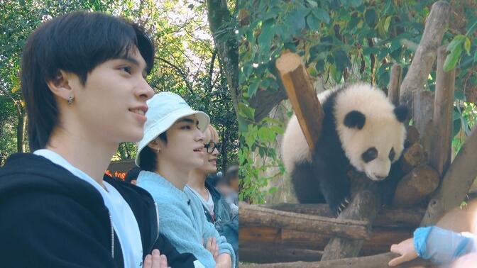 [威神V/WayV] 🔍🐼难道这就是薛定谔的熊猫?! | 成都寻找大熊猫之旅