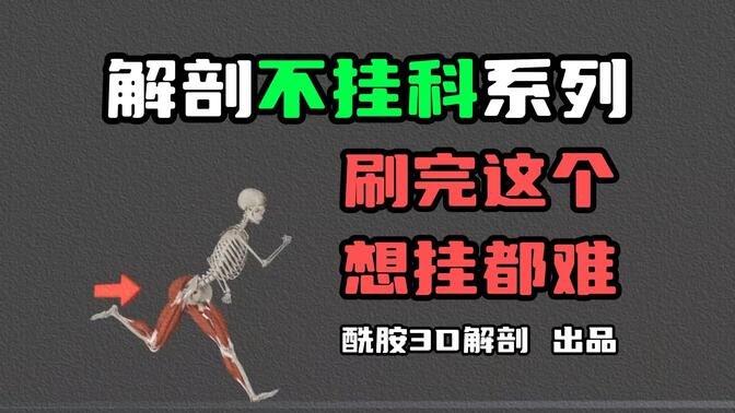 1.解剖不挂科系列丨第1期（绪论＋骨学）